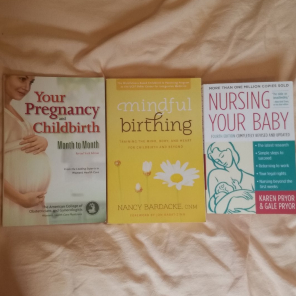 Pregnancy breastfeeding books